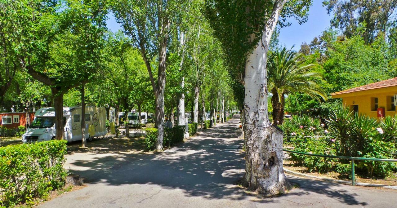 Bungalows Alpha Getafe Exterior photo